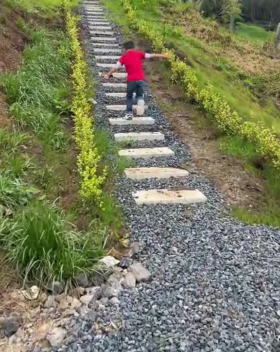 Caminatas y senderismo